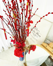 Load image into Gallery viewer, CNY 2024 Pussy Willow Year Of Dragon XL