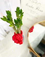 Load image into Gallery viewer, CNY 2024 Dragon Head Lucky Bamboo