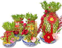 Load image into Gallery viewer, CNY 2024 Guci Bamboo Arrangement