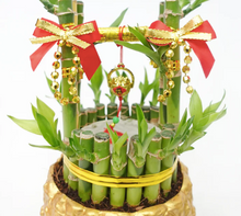 Load image into Gallery viewer, CNY 2024 Rich Bucket