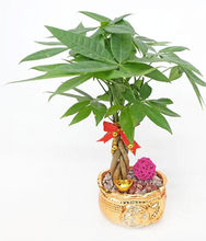 Load image into Gallery viewer, CNY 2024 Lucky Bag