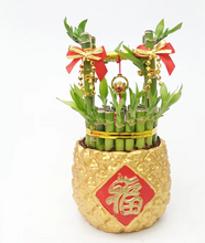 Load image into Gallery viewer, CNY 2024 Rich Bucket