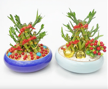 Load image into Gallery viewer, CNY 2024 Golden Triangle 3 Bamboos Arrangement