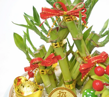 Load image into Gallery viewer, CNY 2024 Golden Triangle 3 Bamboos Arrangement