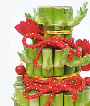 Load image into Gallery viewer, CNY 2024 Bamboo 3 Tier Arrangement