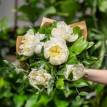 Load image into Gallery viewer, Prestige Wrap Roses To You (Peony & Green)
