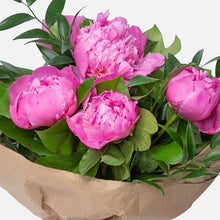 Load image into Gallery viewer, Prestige Wrap Roses To You (Peony & Green)