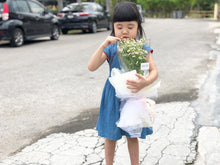 Load image into Gallery viewer, Prestige Wrap Preserved Roses To You (Matricaria Chamomila Star)