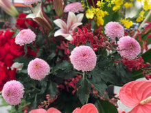 Load image into Gallery viewer, Congratulations Flower Stand To You (Red Ginger, Anthurium, Lily, Roses, Ping Pong, Orchids, and Greens!)