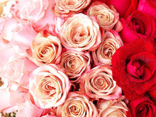 Load image into Gallery viewer, Prestige XL Bouquet To You Round Ombré Pink Warm Red 33 Roses