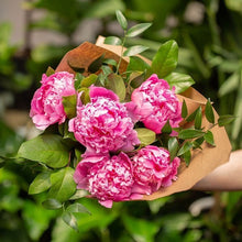 Load image into Gallery viewer, Prestige Wrap Roses To You (Peony & Green)