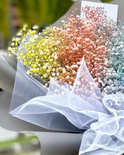 Load image into Gallery viewer, Prestige Wrap Baby Breath To You (XL Rainbow Lace Design)