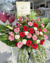 Load image into Gallery viewer, Congratulatory Flower Stand To You (Roses, Daisy, Lily, Carnation Leaf, Cordyline)