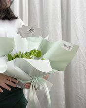 Load image into Gallery viewer, Plants To You ( Pilea Peperomiodes)