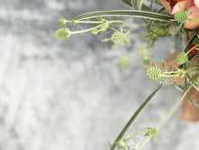 Load image into Gallery viewer, Flower Jar To You (Premium Mix Design Roses & Orchids)