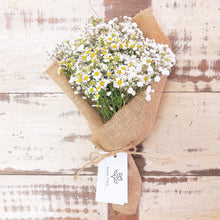 Load image into Gallery viewer, Premium Signature Bouquet To You : Chamomile & Baby Breath