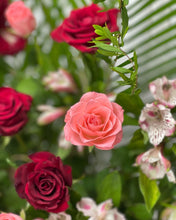 Load image into Gallery viewer, Congratulatory Flower Stand To You ( Roses Red Pink Design)