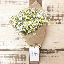 Load image into Gallery viewer, Premium Signature Bouquet To You : Chamomile & Baby Breath