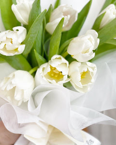 Prestige Bouquet To You (Tulip White Series White Wrap)