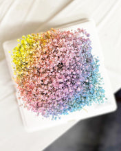 Load image into Gallery viewer, Cake Style Flower Money Box To You (Rainbow Baby Breath Transparent Box Design)
