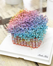 Load image into Gallery viewer, Cake Style Flower Money Box To You (Rainbow Baby Breath Transparent Box Design)