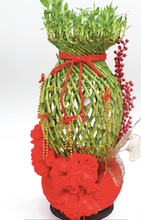 Load image into Gallery viewer, CNY 2024 Guci Bamboo Arrangement