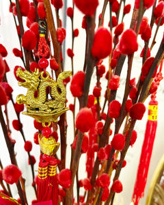 CNY 2024 Pussy Willow Year Of Dragon