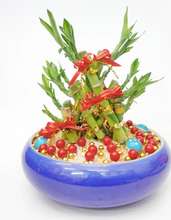Load image into Gallery viewer, CNY 2024 Golden Triangle 3 Bamboos Arrangement
