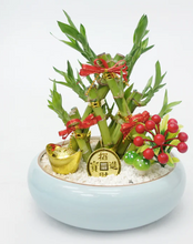 Load image into Gallery viewer, CNY 2024 Golden Triangle 3 Bamboos Arrangement
