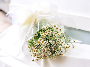 Prestige Wrap  Preserved Roses To You (Matricaria Chamomila Star)