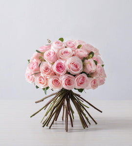 Valentine’s Bouquet To You (Cinderella Valentine’s Bouquet To You)