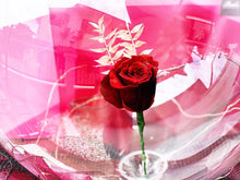 Load image into Gallery viewer, Preserved Flowers Ballon To You (1 Rose Red Design)
