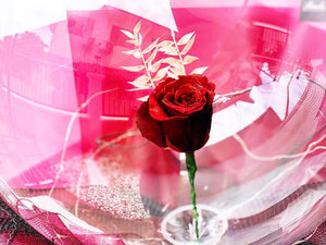 Preserved Flowers Ballon To You (1 Rose Red Design)