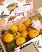 Load image into Gallery viewer, Signature Gift Mini Honey Mandarin Oranges Box To You (CNY Abundance Gift Box To You )

