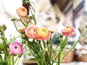 Exclusive Signature Bouquet To You (Ranunculus White Design)